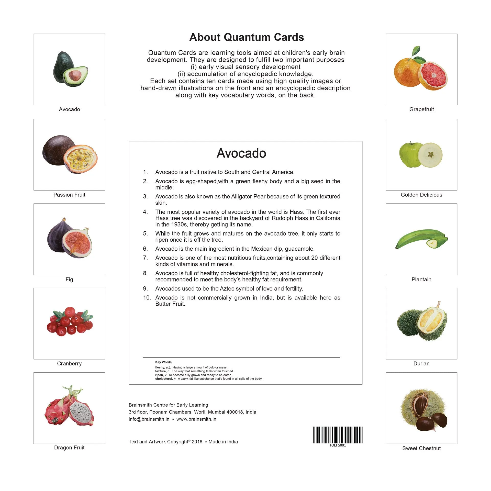 Quantum Cards <br> Starter Kit, Set of 5