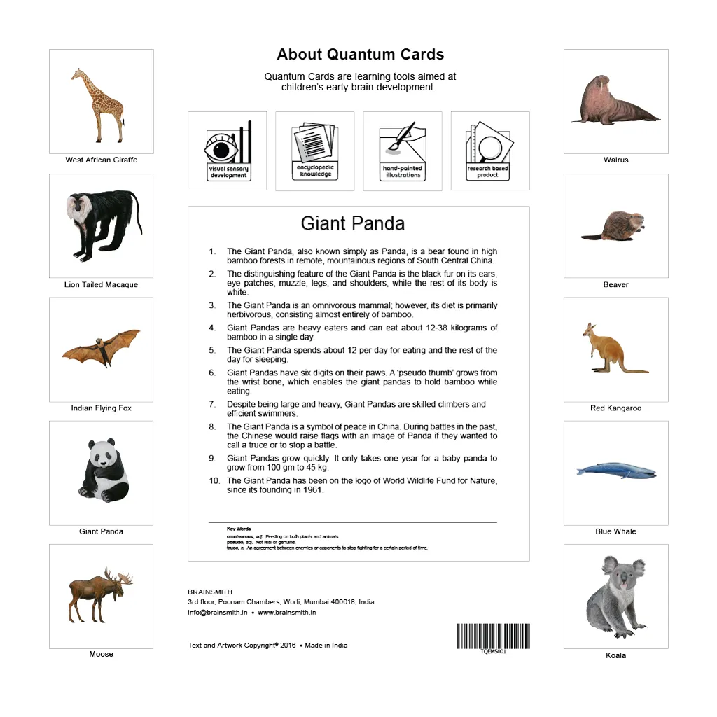 Quantum Cards <br> Starter Kit, Set of 5